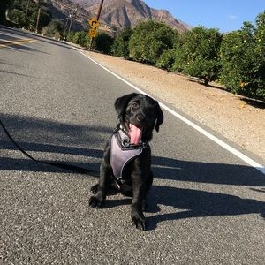 Meet your Posher, Marcos